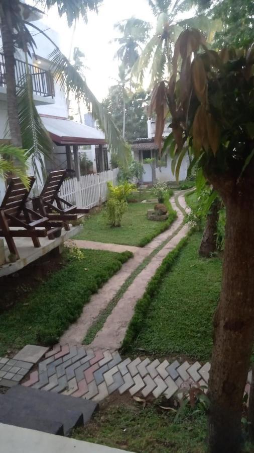 Petit Guest House Negombo Exterior photo